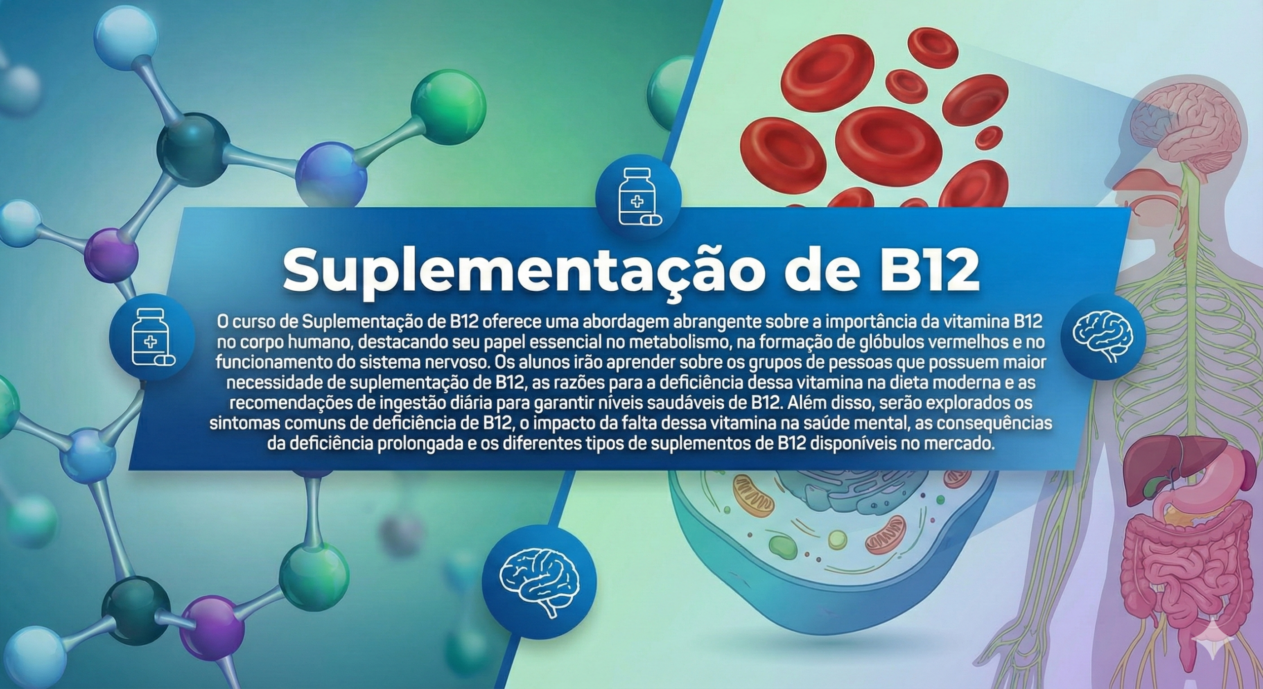 Suplementação de B12